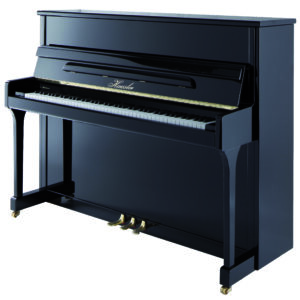 Haessler H118