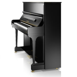C. Bechstein Concert C 6