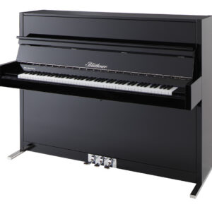 Blüthner Model D116