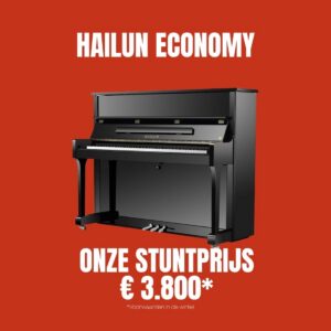 Stuntprijs Hailun HL 121 Economy